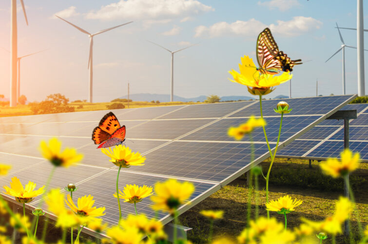 Greenotec Solar-Energie